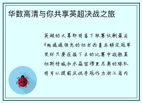 华数高清与你共享英超决战之旅