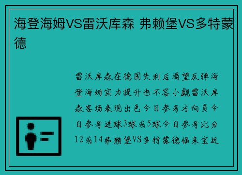 海登海姆VS雷沃库森 弗赖堡VS多特蒙德