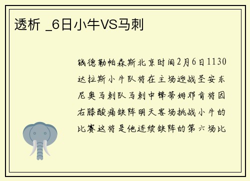 透析 _6日小牛VS马刺